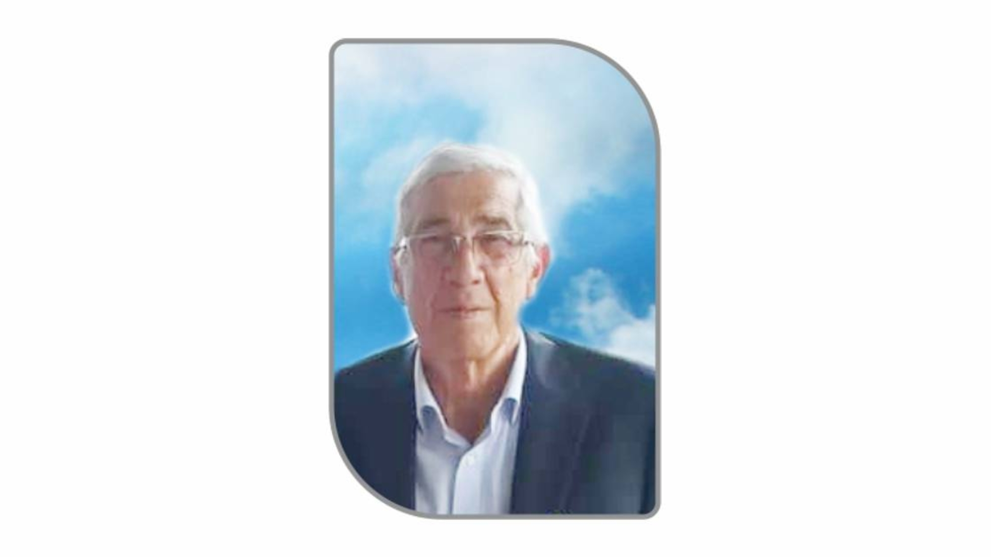 palitti web