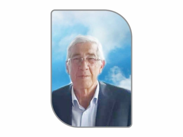 palitti web