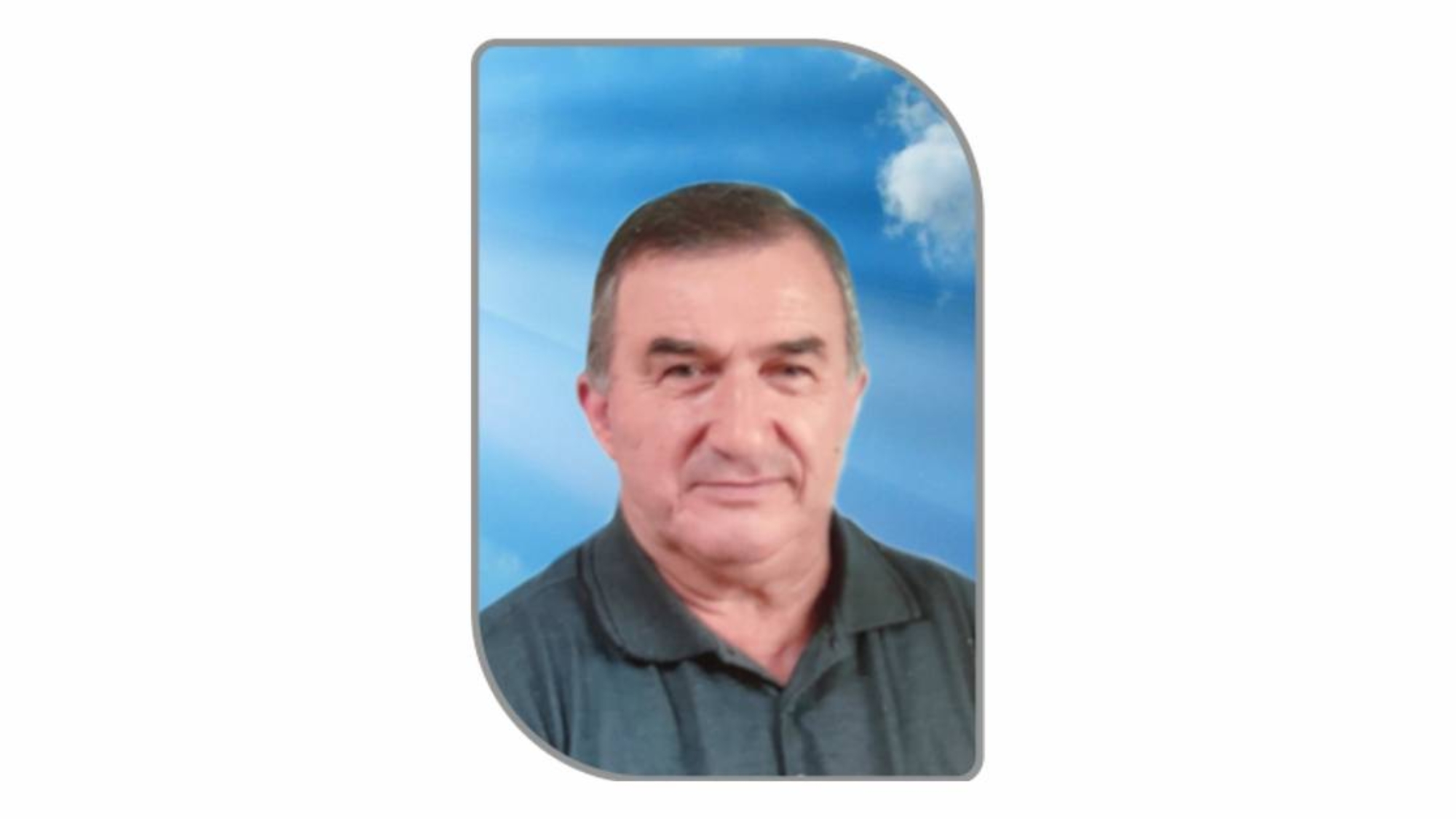 truini web
