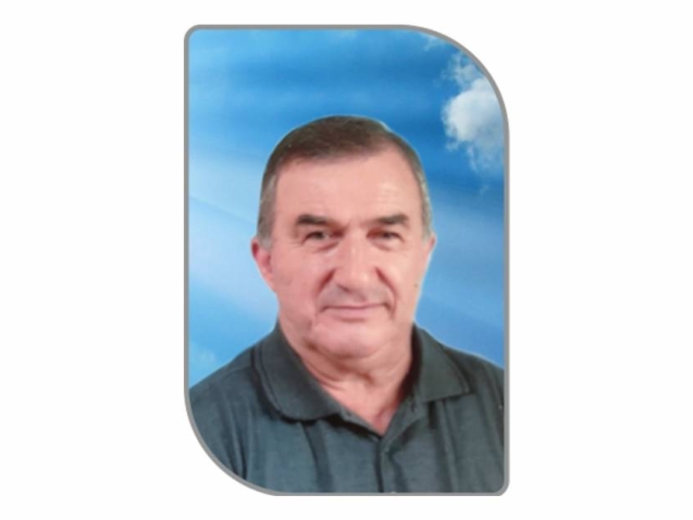 truini web