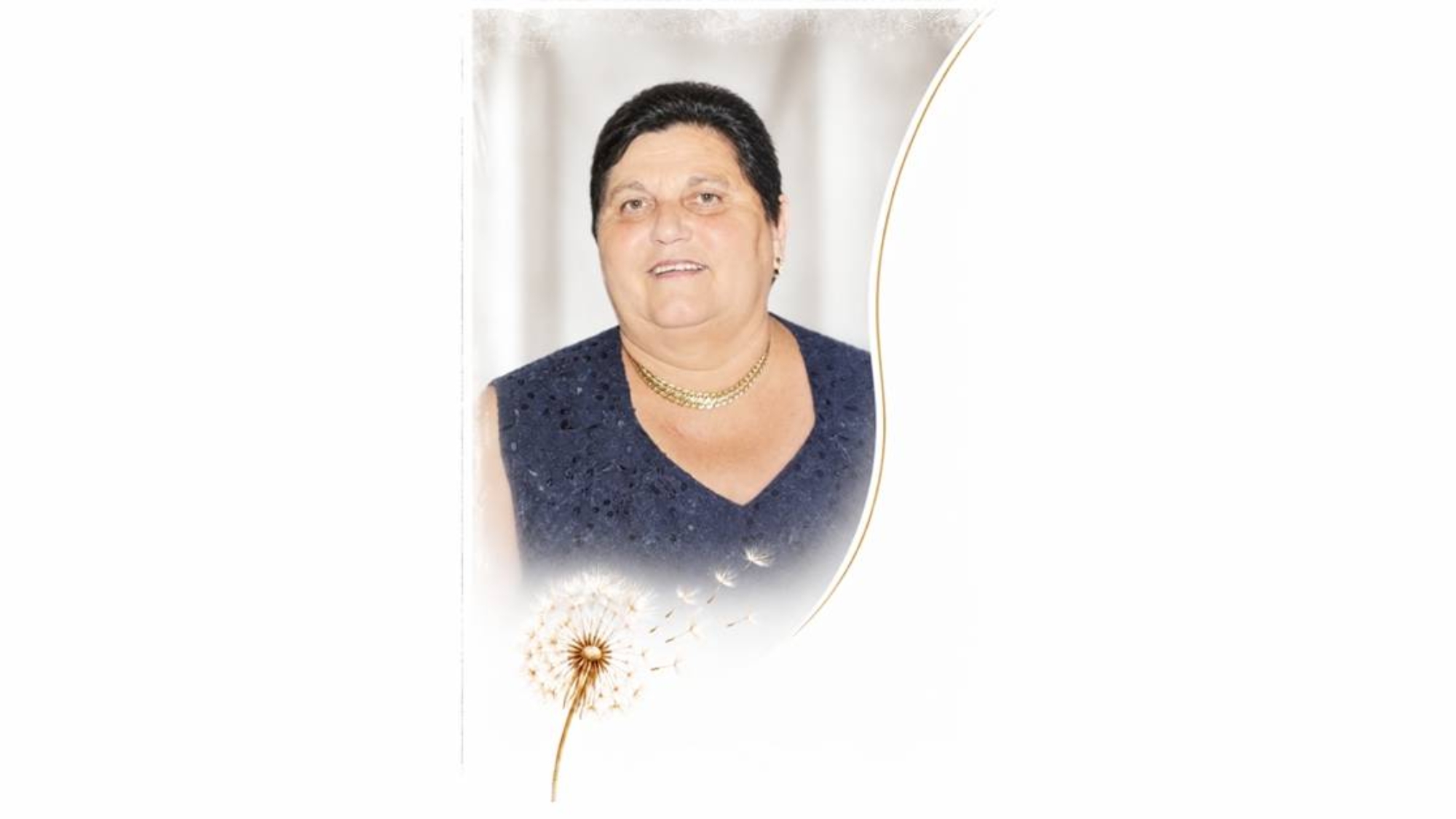 salati web