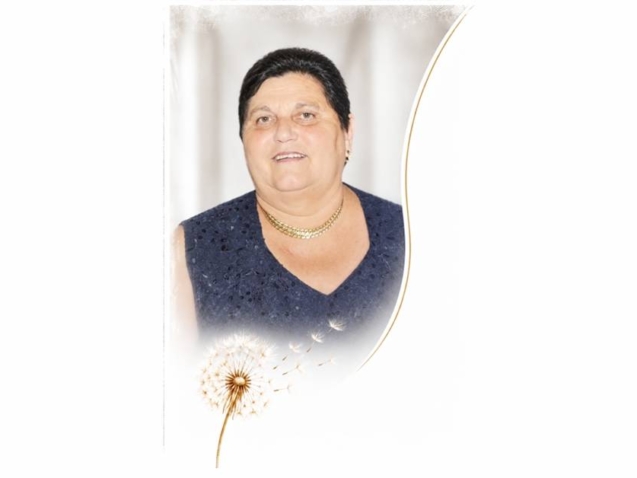 salati web